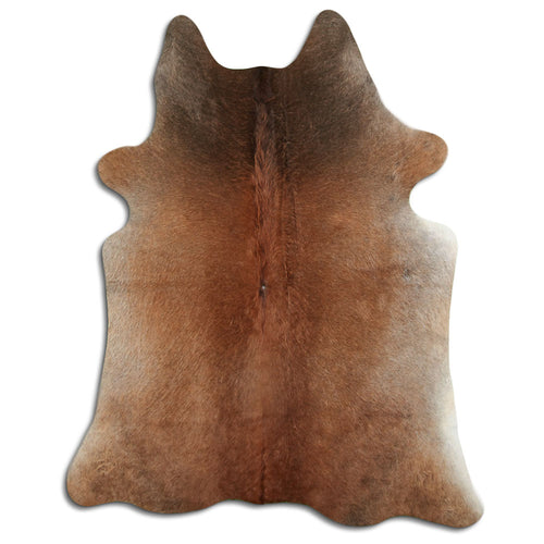 Tan Grey Cowhide Rug L