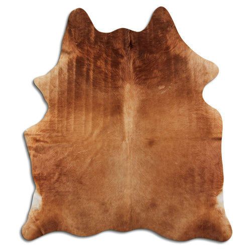 Brown Cowhide Rug L