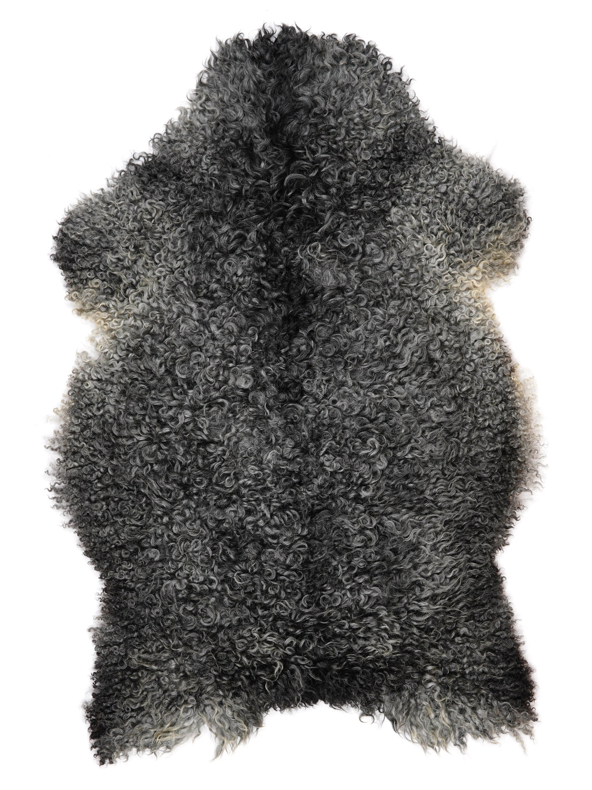 NH00008