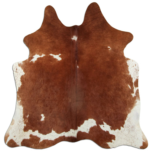 Brown & White Cowhide Rug M