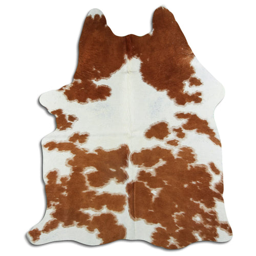 Brown & White Cowhide Rug M