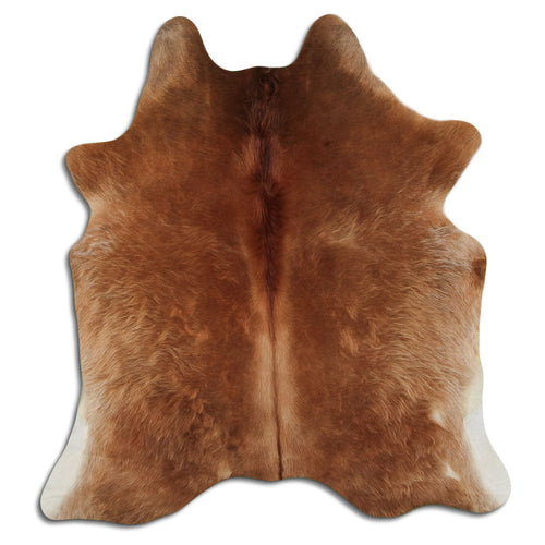 Brown Cowhide Rug M