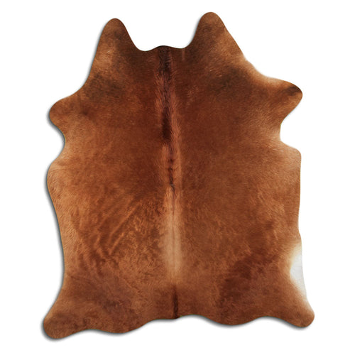 Brown Cowhide Rug L