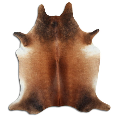 Brown Cowhide XXL