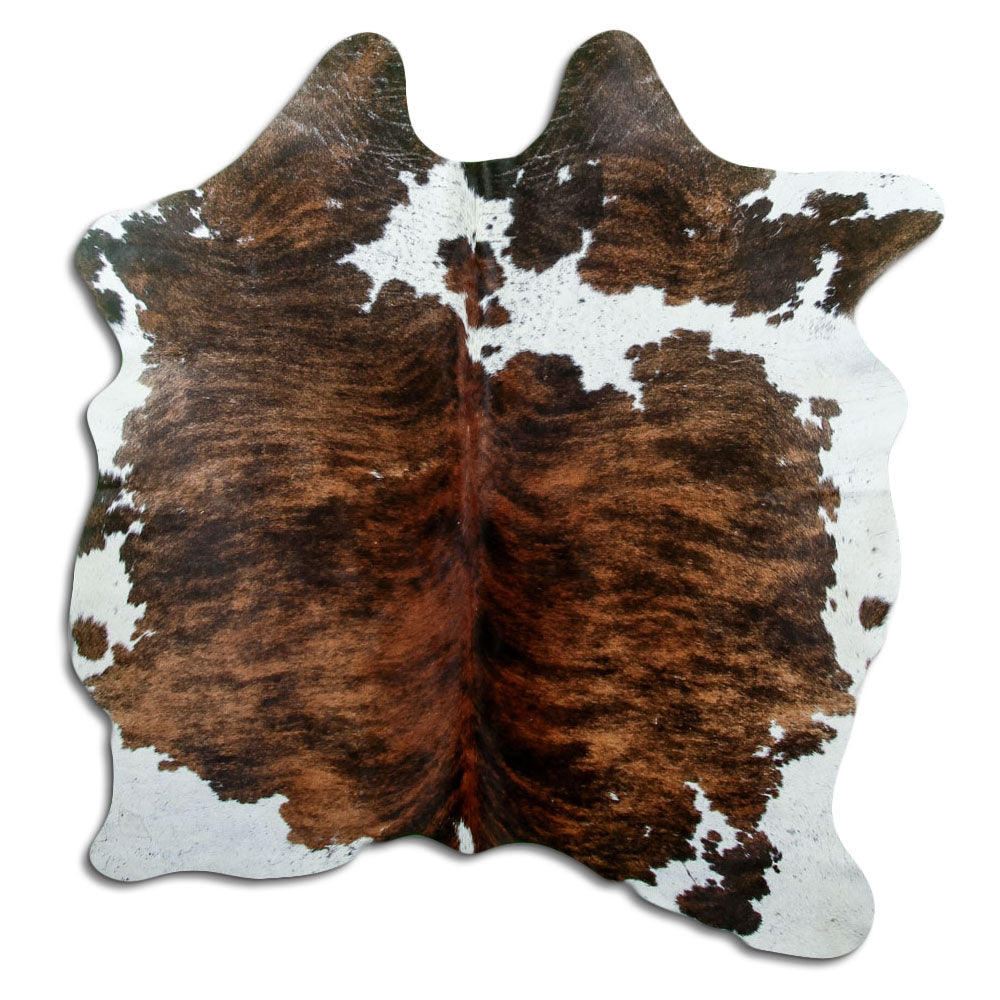 Tricolour cowhide rug of about 160 × 140 cm, seen from above: the exact hide you receive
