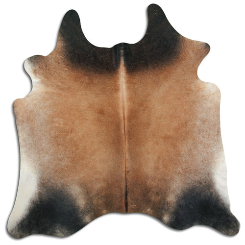 Tan Grey Cowhide Rug L