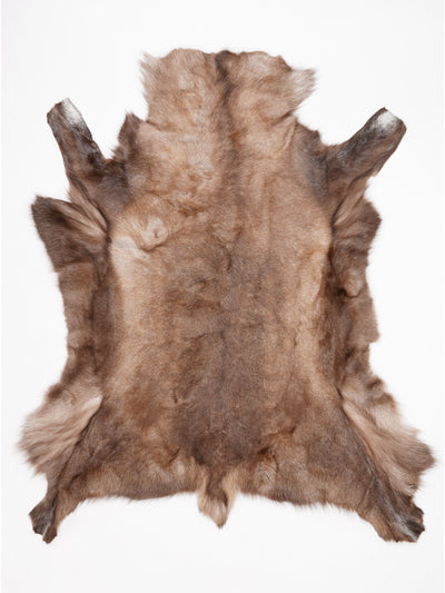 OX00019