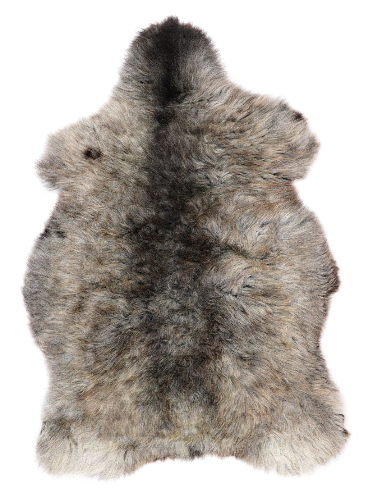 NC00038
