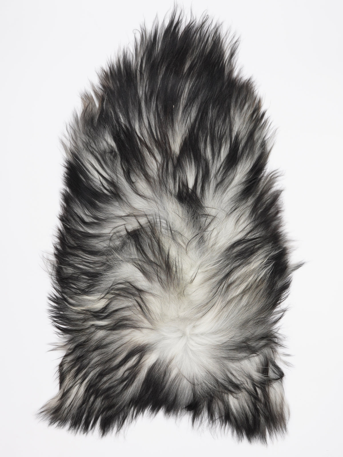 OE00083