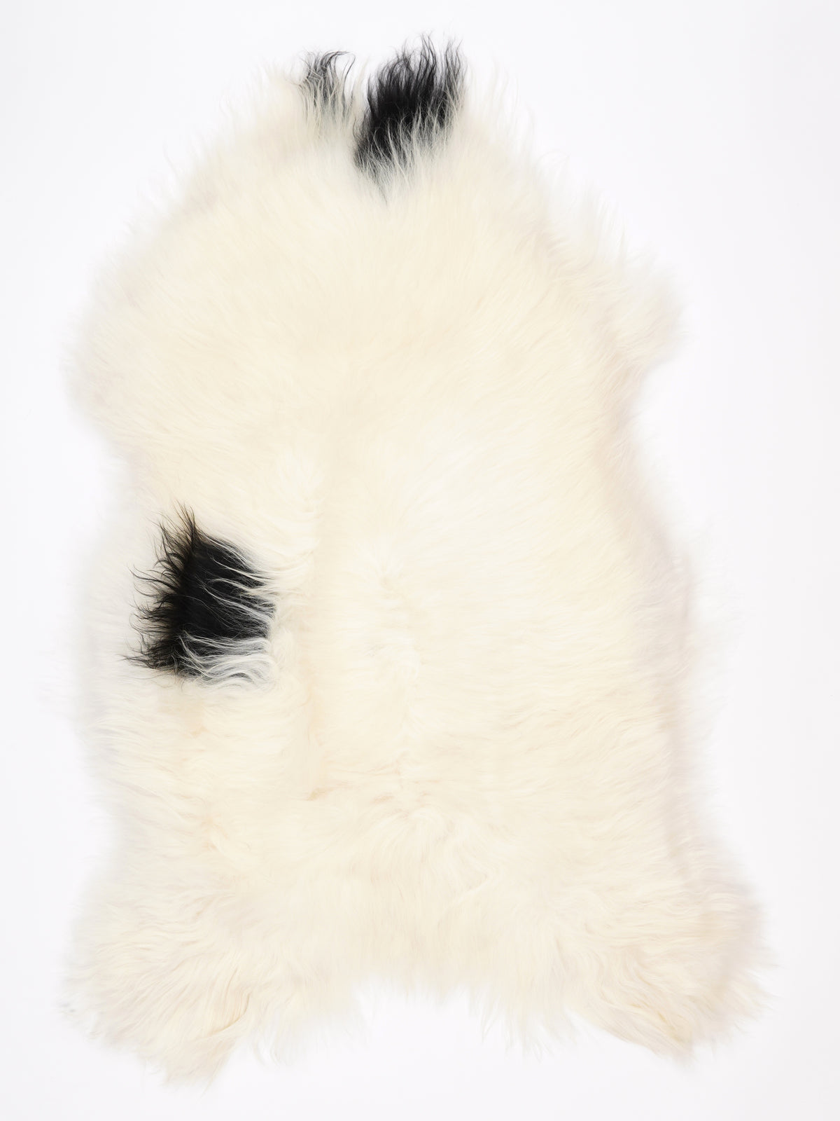 NO00011