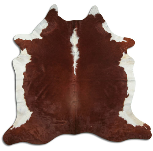 Brown & White Cowhide Rug L