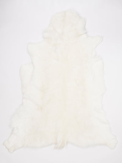 OX00023