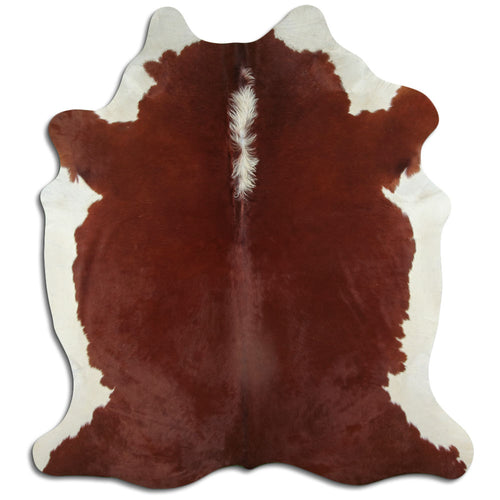 Brown & White Cowhide Rug L