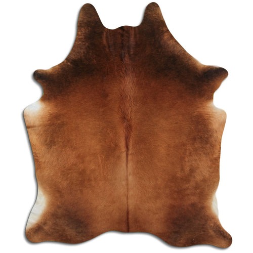 Brown Cowhide Rug L