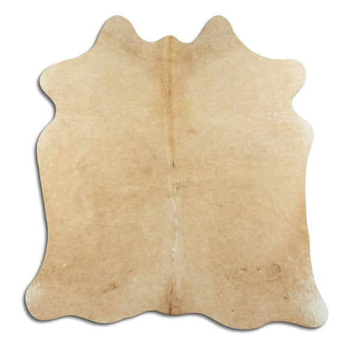 Brown Cowhide Rug M