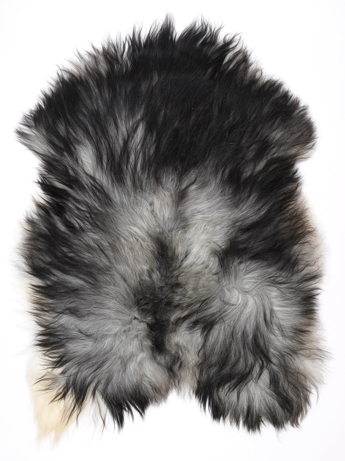 NW00007