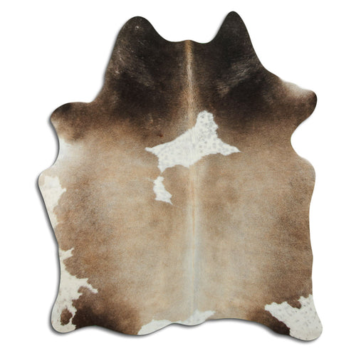 Brown & White Cowhide Rug M