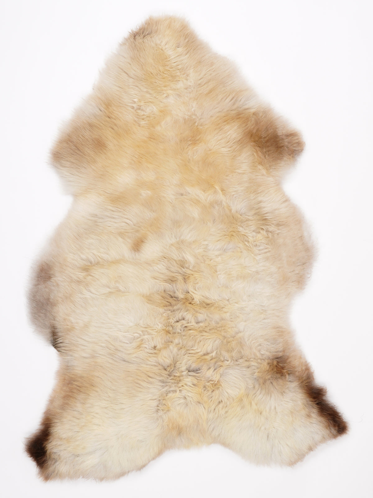 MM00018