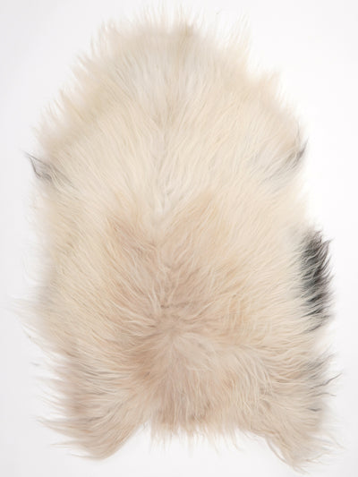Icelandic Sheepskin Multicolour L