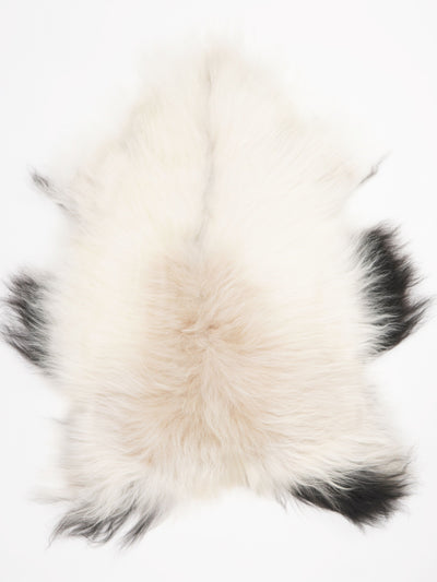 Icelandic Sheepskin Multicolour L
