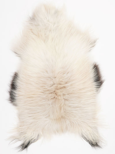 Icelandic Sheepskin Multicolour L