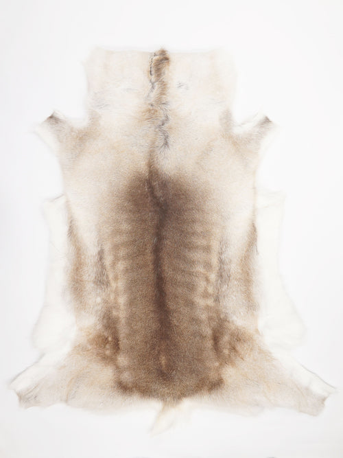 Reindeer Hide