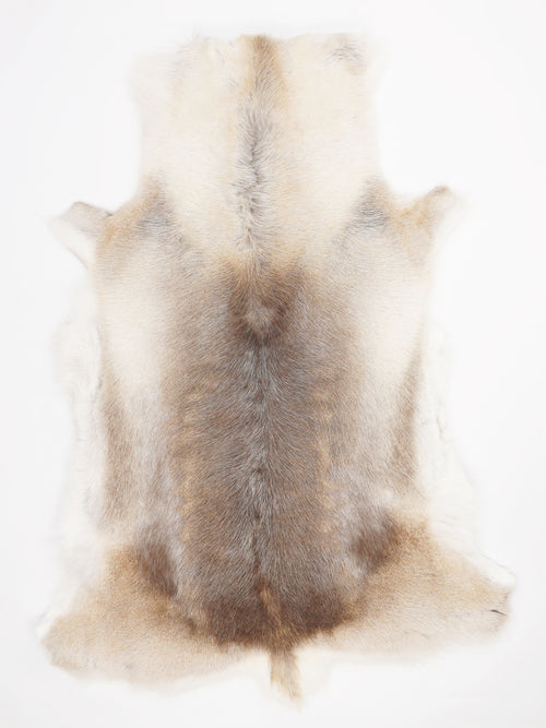 Reindeer Hide