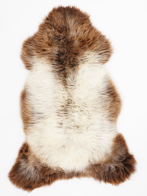 British Multicolour Sheepskin Rug XL