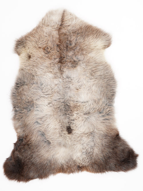British Multicolour Sheepskin Rug L