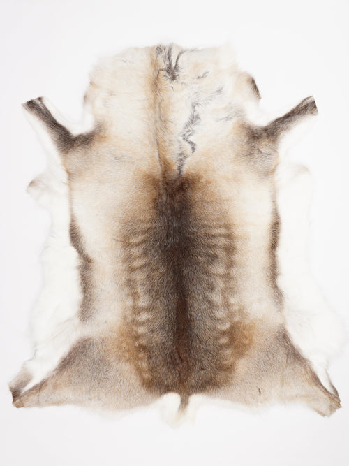 Reindeer Hide