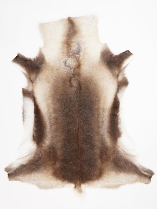 Reindeer Hide