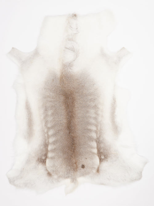 Reindeer Hide
