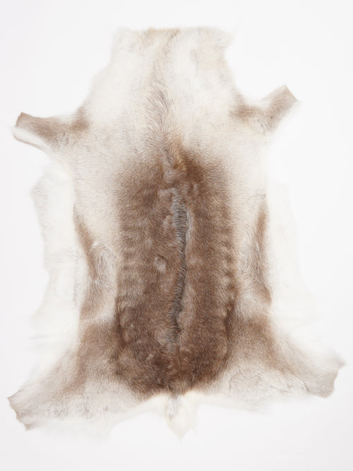 Reindeer Hide