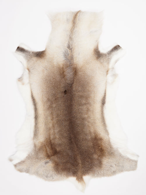 Reindeer Hide