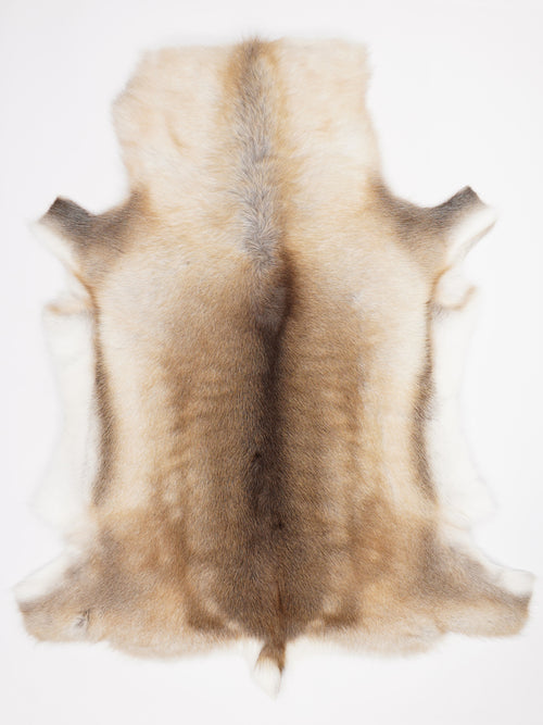 Reindeer Hide