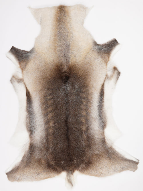 Reindeer Hide