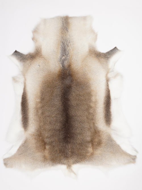 Reindeer Hide