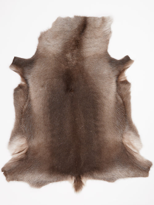 Reindeer Hide