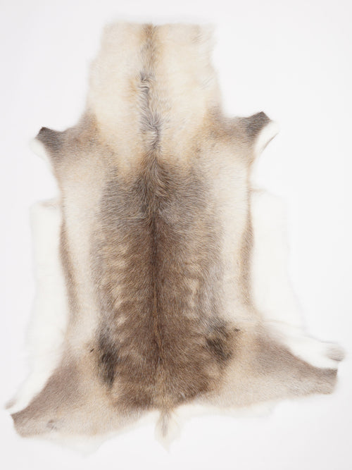 Reindeer Hide