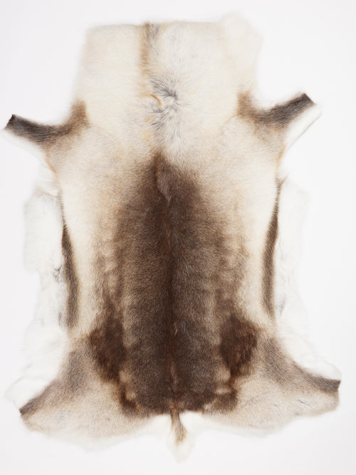 Reindeer Hide