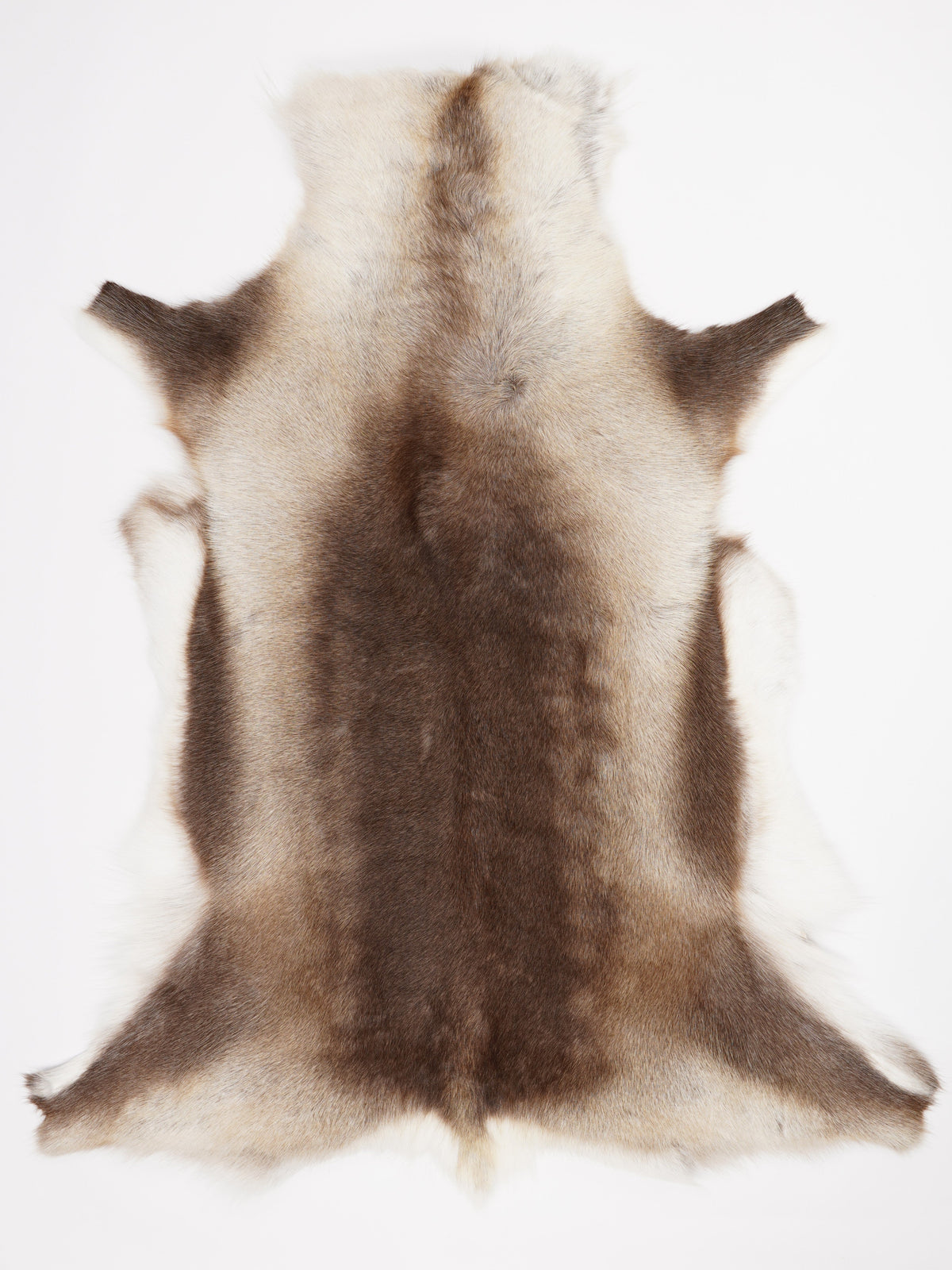 Reindeer Hide