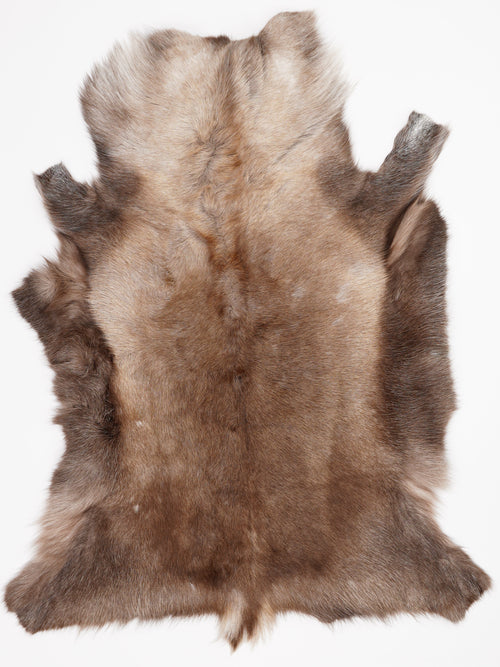 Reindeer Hide