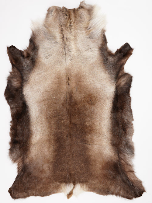 Reindeer Hide