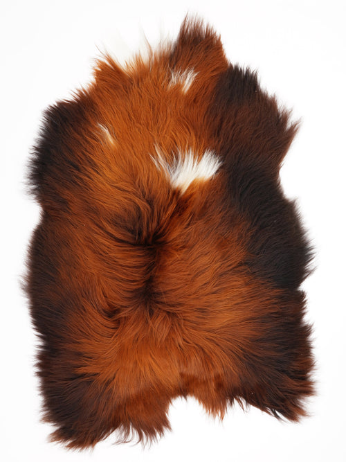 Icelandic Multicolour Sheepskin Rug XL