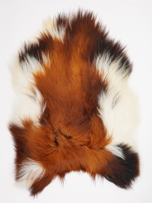 Icelandic Multicolour Sheepskin Rug XL