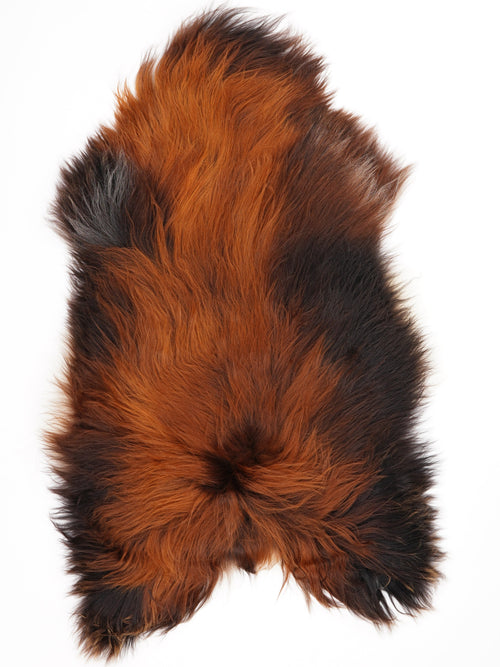Icelandic Multicolour Sheepskin Rug XXL