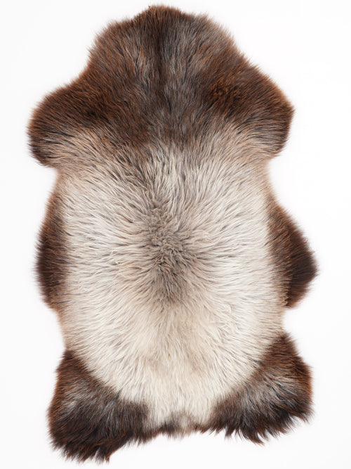 British Multicolour Sheepskin Rug L