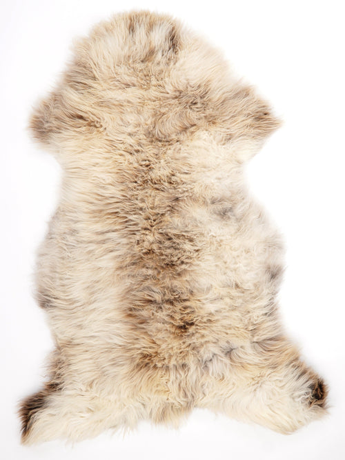 British Multicolour Sheepskin Rug XXL