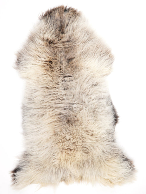 British Multicolour Sheepskin Rug XXL