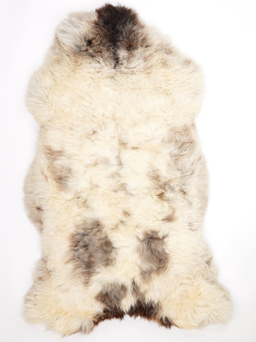 British Multicolour Sheepskin Rug XXXXL